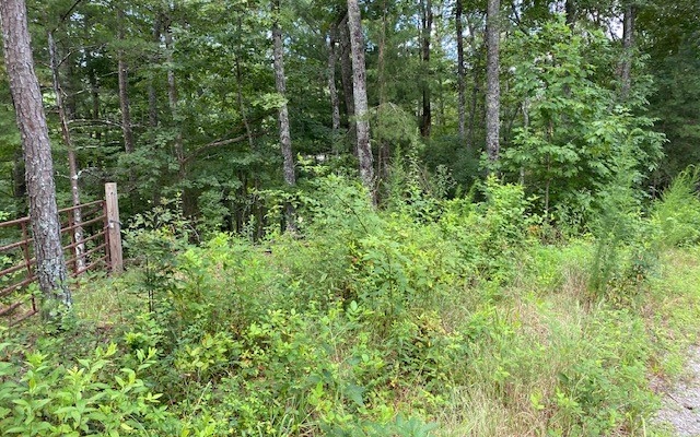 17 Whippoorwill Walk Road Monticello, GA 31064 - Photo 3 of 4 a view of a lush green forest