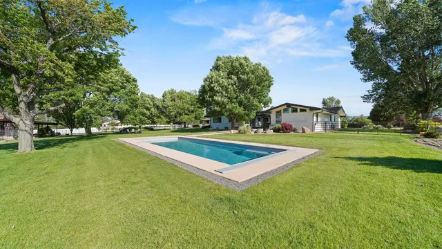 a view of a tennis ground with large trees