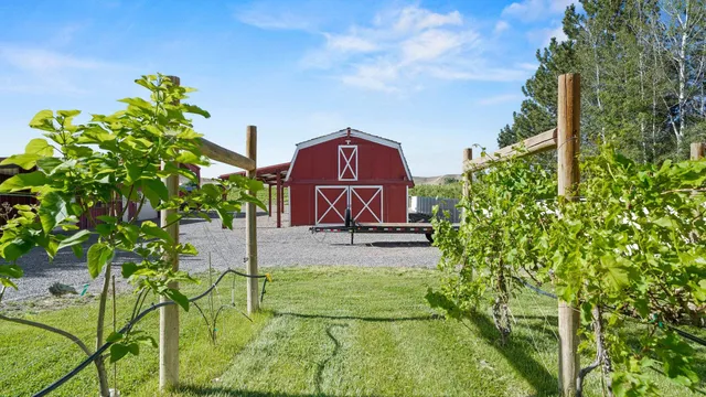 a view of a back yard