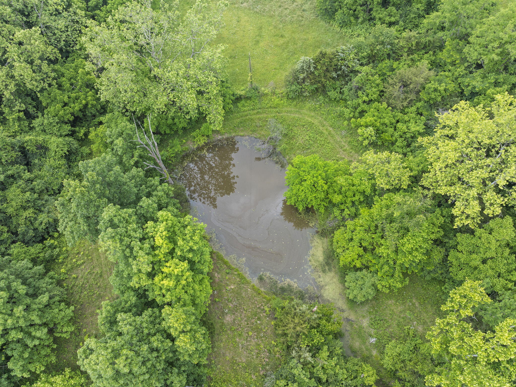 611 Mudlick Road Cynthiana, KY 41031 - Photo 12 of 20 20-web-or-mls-DJI_20250604130138_0675_D