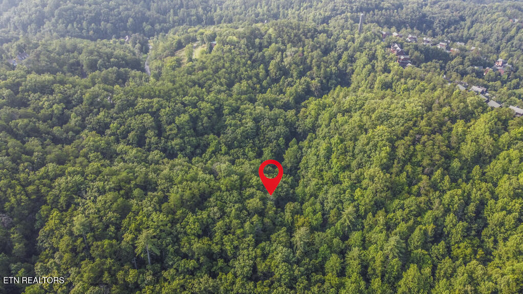 South New Era Road Sevierville, TN 37876 - Photo 8 of 25 drone 7_1