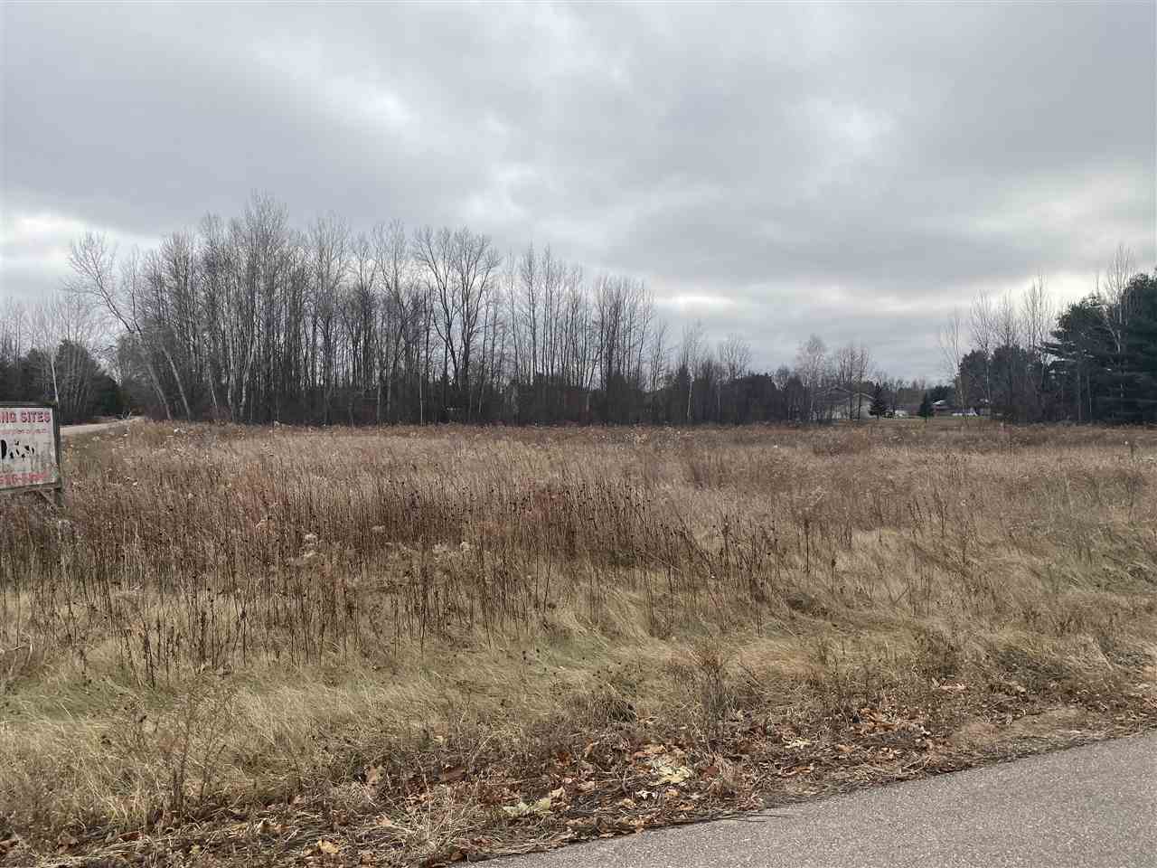 Mader Street Gresham, WI 54128 - Photo 3 of 5