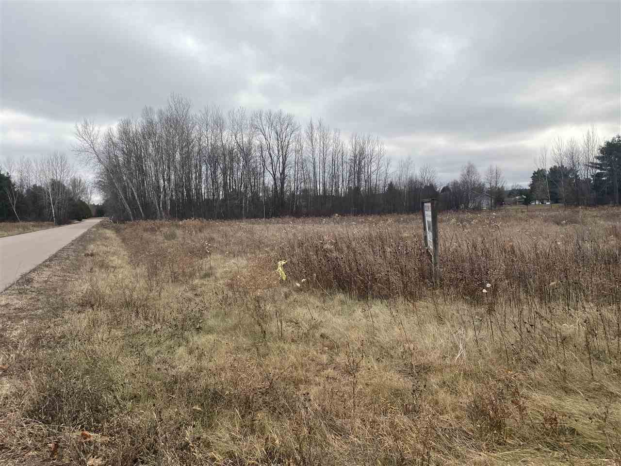 Mader Street Gresham, WI 54128 - Photo 4 of 5