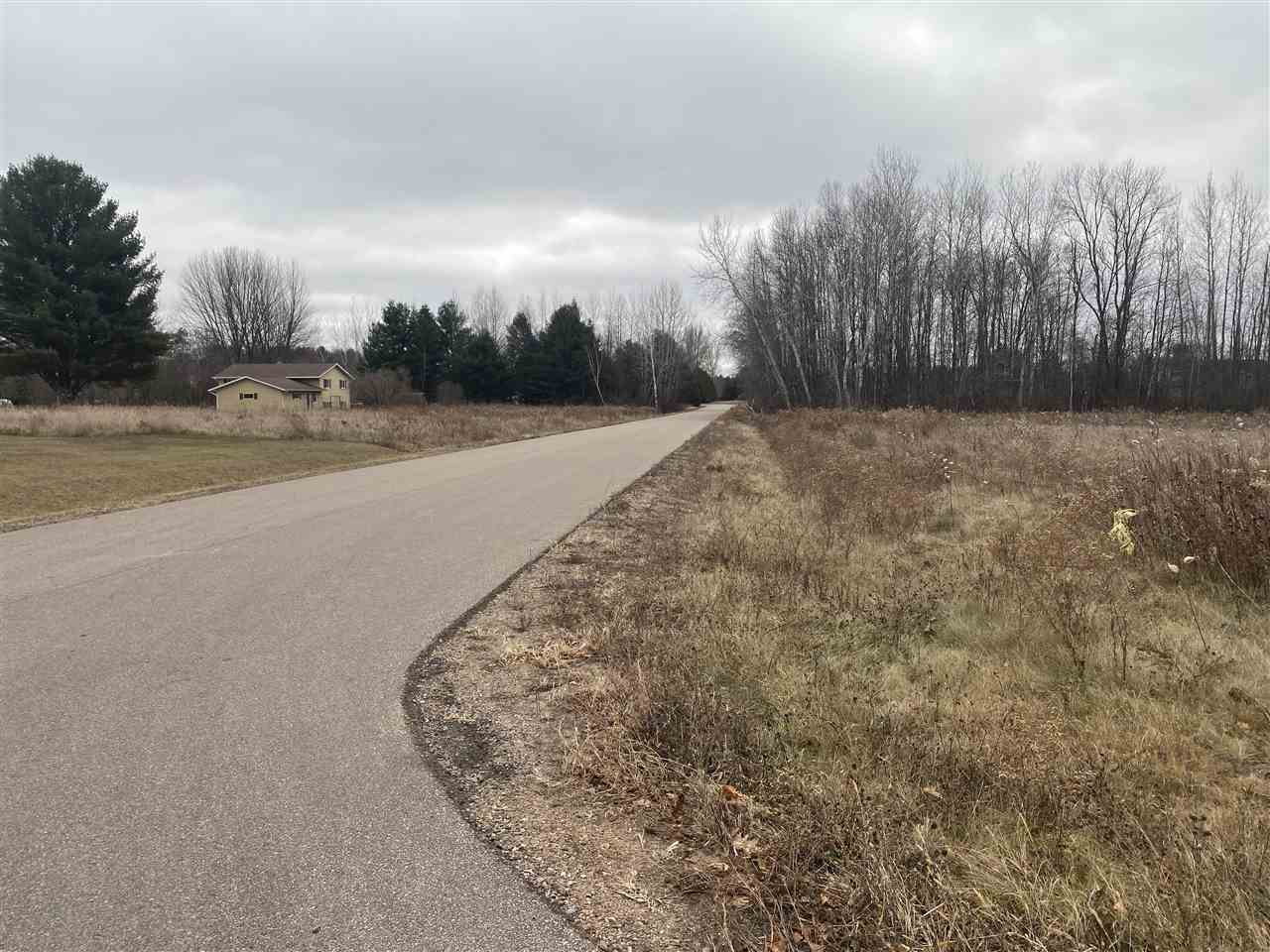 Mader Street Gresham, WI 54128 - Photo 5 of 5