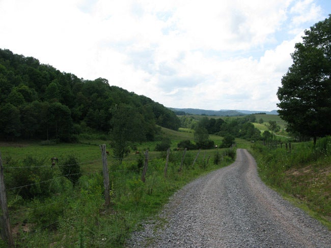 200 Grassy Meadows Road Meadow Bridge, WV 25976 - Photo 10 of 13 10