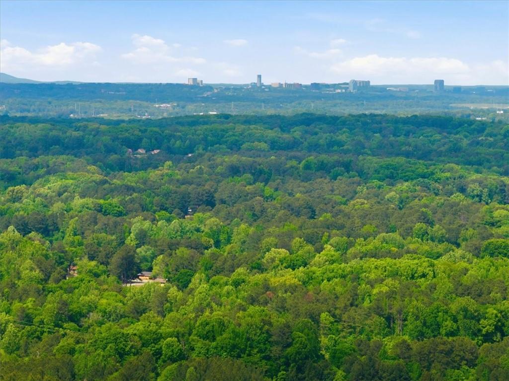 4107 Danforth Road Southwest Atlanta, GA 30331 - Photo 60 of 64 a view of a lush green space with sea