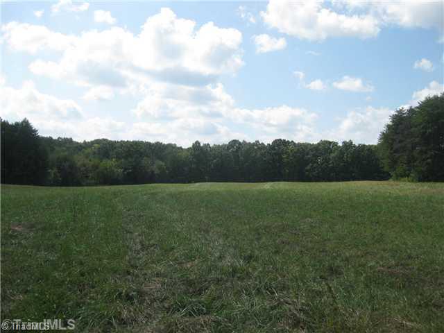 1390 Capella Road King, NC 27021 - Photo 11 of 12 Land.