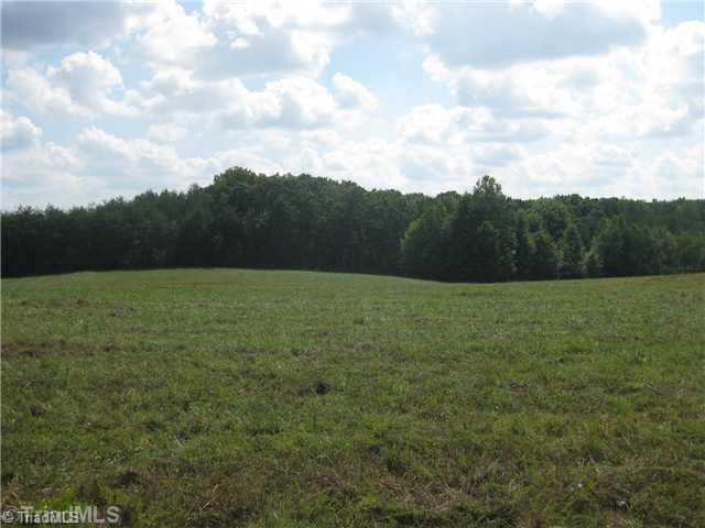 1390 Capella Road King, NC 27021 - Photo 12 of 12 Land.