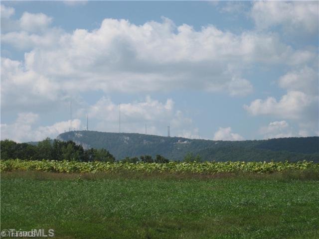 1390 Capella Road King, NC 27021 - Photo 8 of 12 Other. Sauratown Mtn View 2