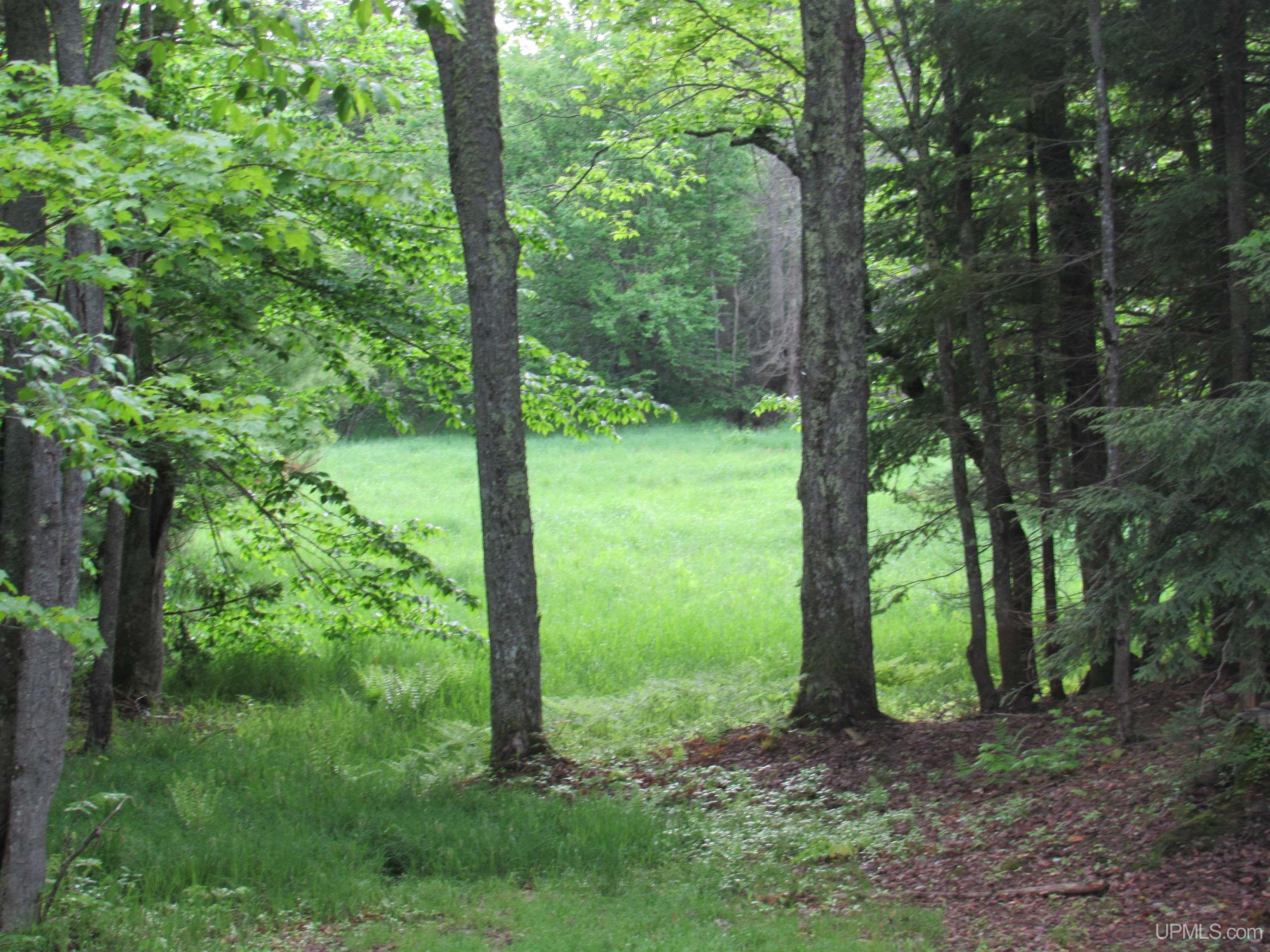 Tbd Tbd Sigan Camp Road Seney, MI 49883 - Photo 37 of 41
