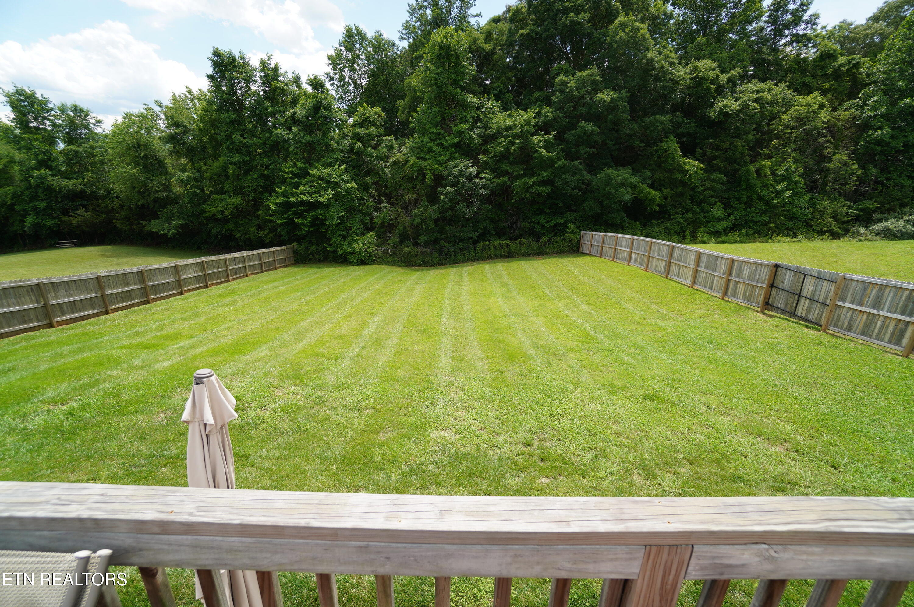 2535 Ryleigh Ridge Drive New Market, TN 37820 - Photo 3 of 51 2535 ryleigh ridge - galloway (44)
