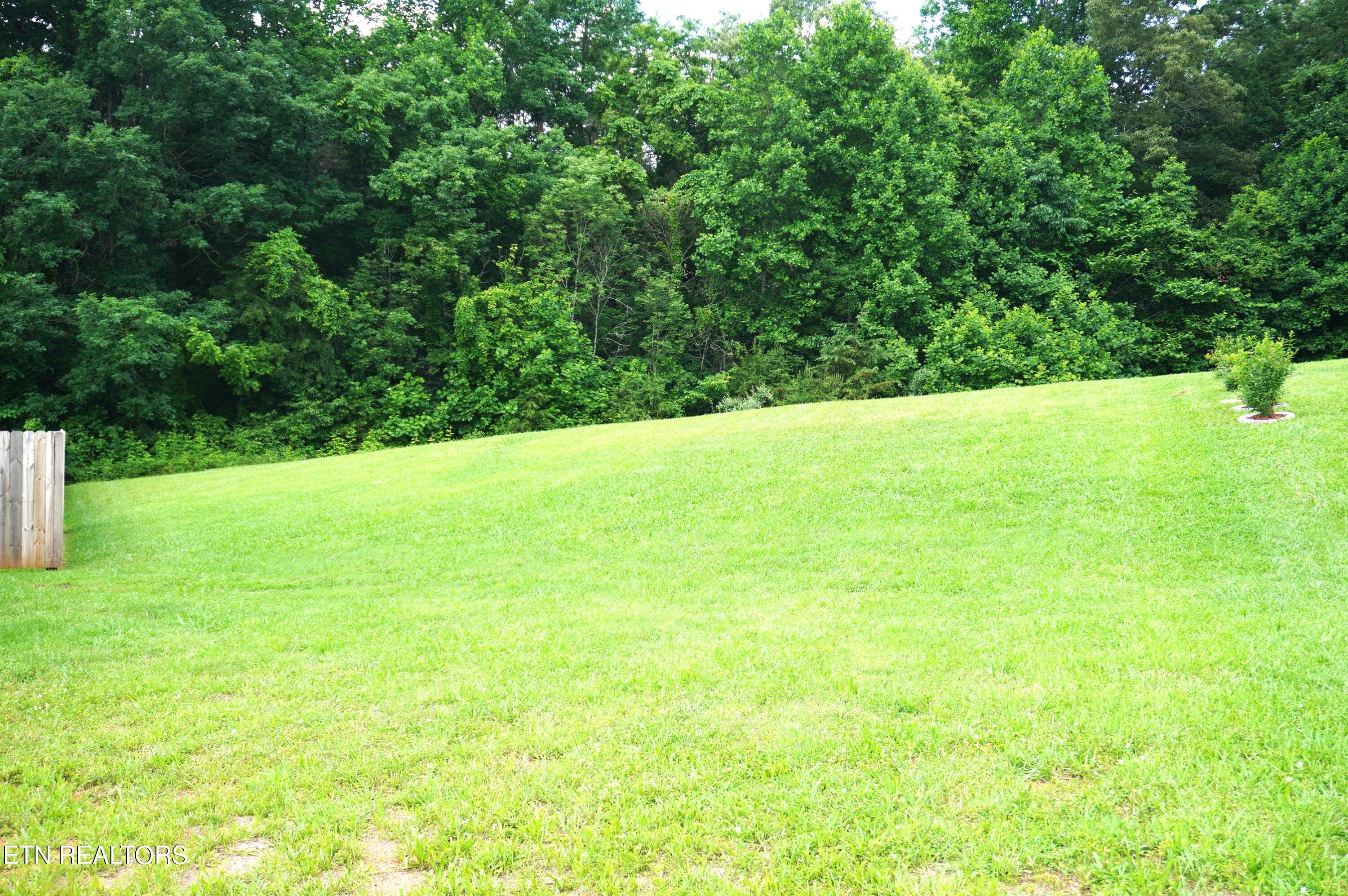 2535 Ryleigh Ridge Drive New Market, TN 37820 - Photo 45 of 51 2535 ryleigh ridge - galloway (14)