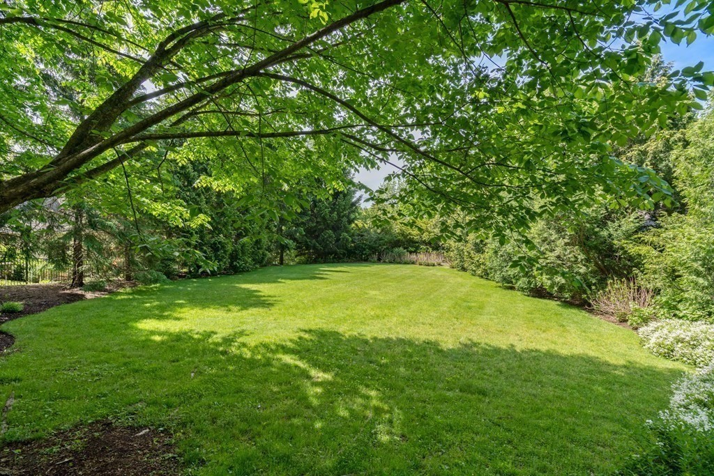 14 Old Orchard Road Newton, MA 02467 - Photo 32 of 34 a view of yard with green space