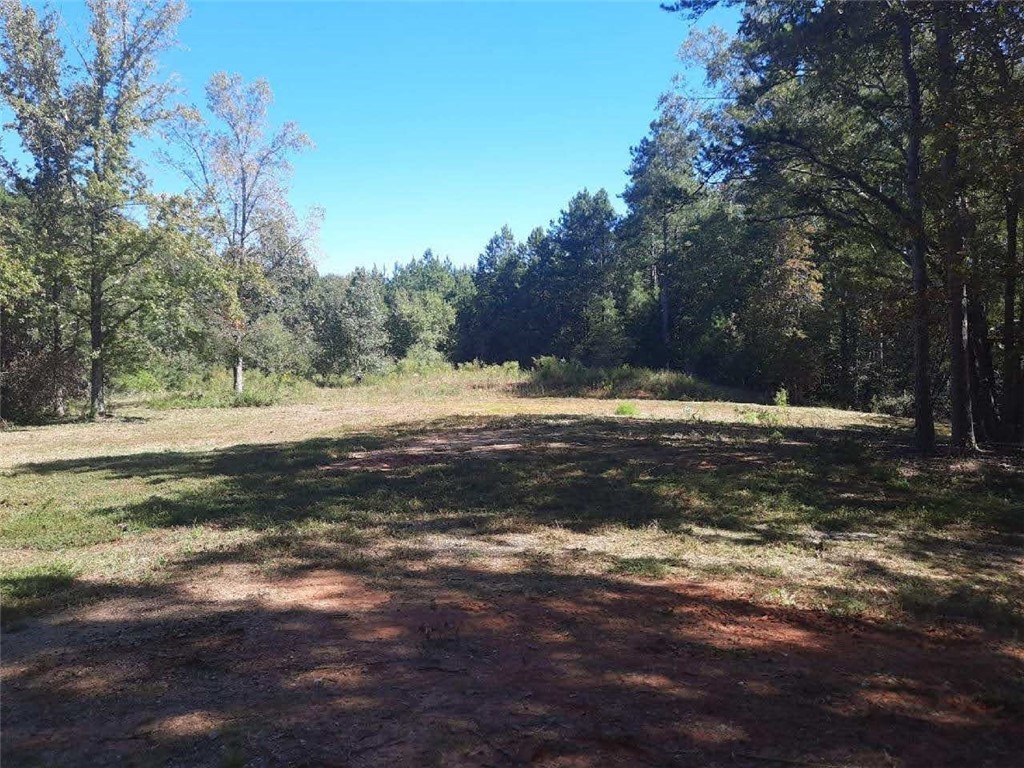 221 Farrow Road Starr, SC 29684 - Photo 2 of 4