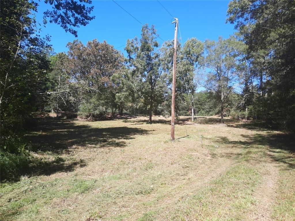 221 Farrow Road Starr, SC 29684 - Photo 3 of 4