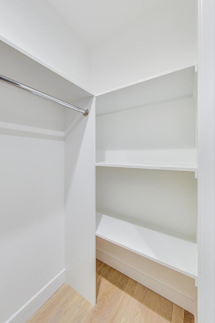 4745 South Indiana Avenue, Unit 3 Chicago, IL 60615 - Photo 37 of 42 a close view of closet