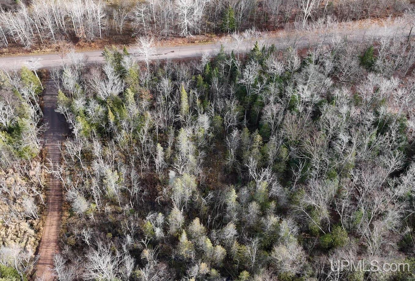 Tbd29 Rauhala Road Atlantic Mine, MI 49905 - Photo 4 of 19 Gallery Image 4