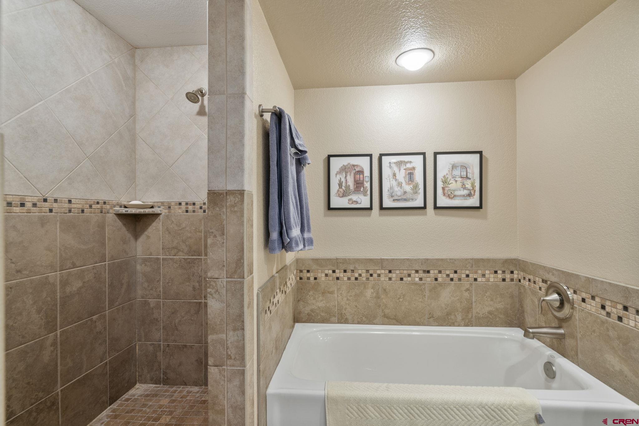 321 Pine Ridge Loop Durango, CO 81301 - Photo 18 of 35 a bathroom with a bathtub and a shower