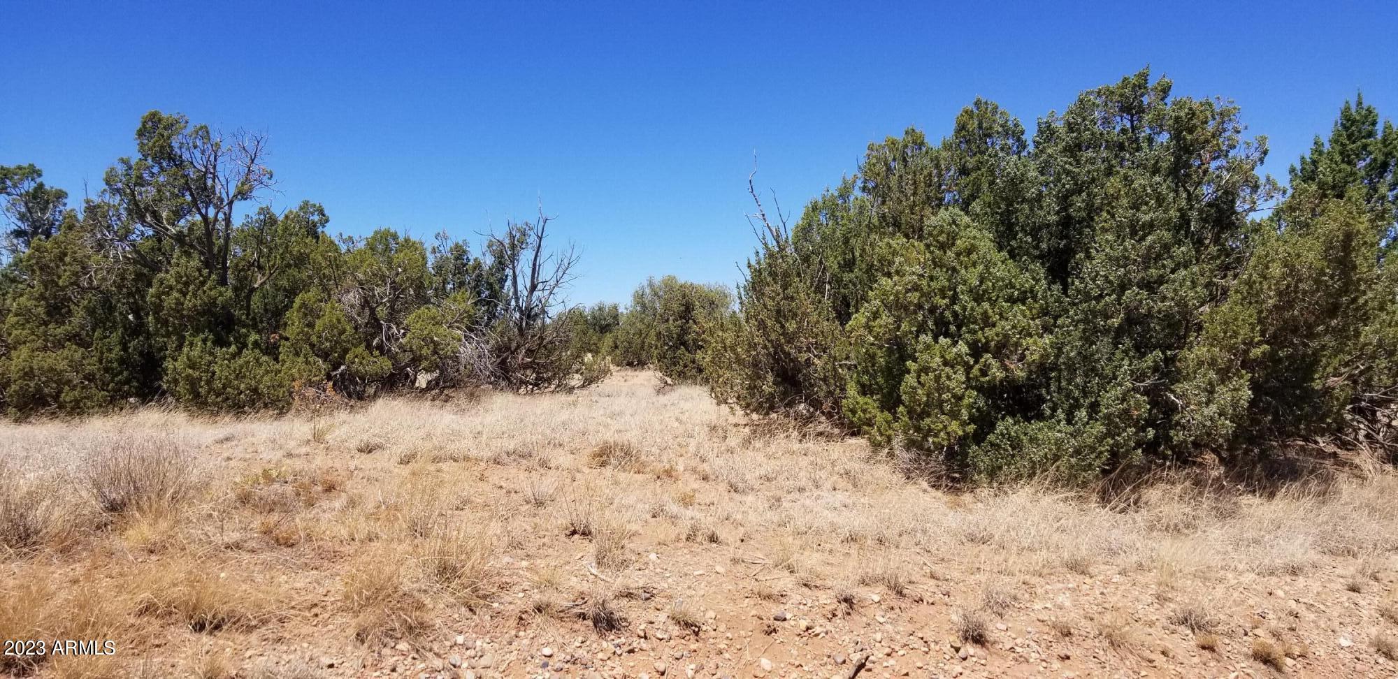 3920 Petersen Road, Unit 66 Snowflake, AZ 85937 - Photo 3 of 4 Treed privacy