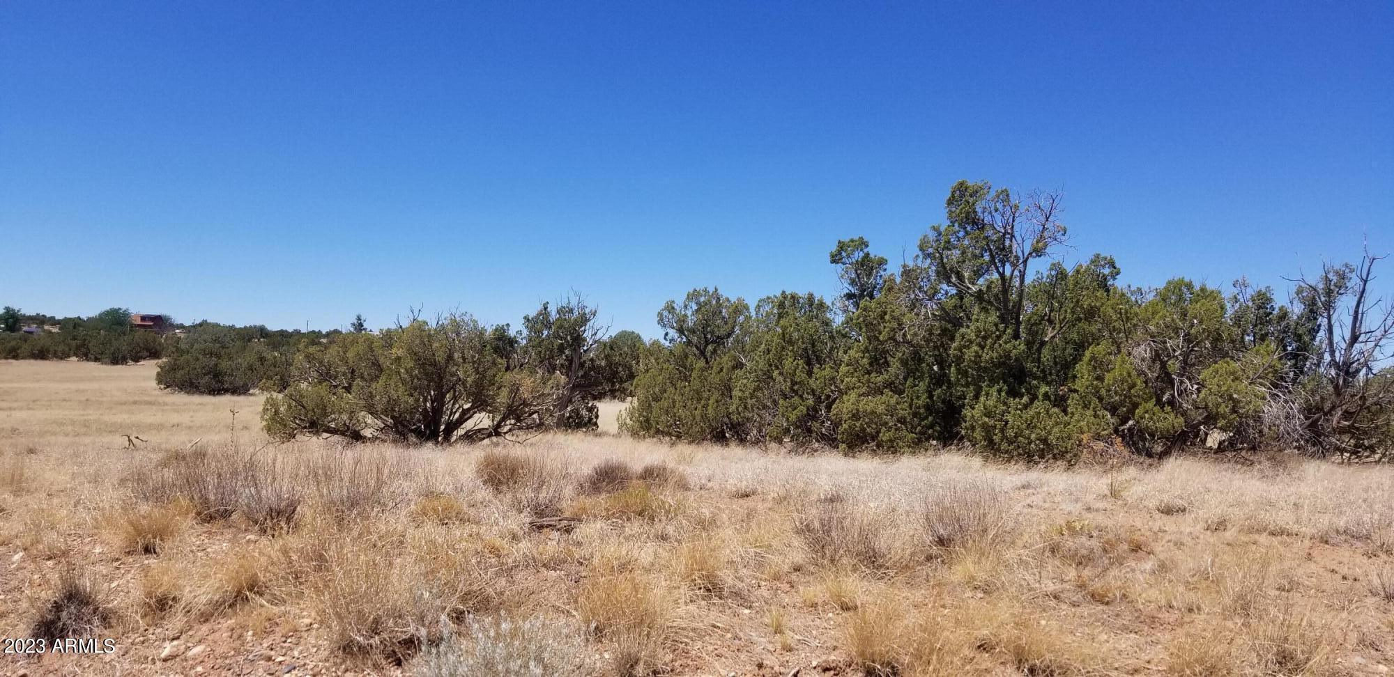 3920 Petersen Road, Unit 66 Snowflake, AZ 85937 - Photo 4 of 4 Usuable 5.19 acres
