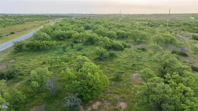a view of a field of grass and trees