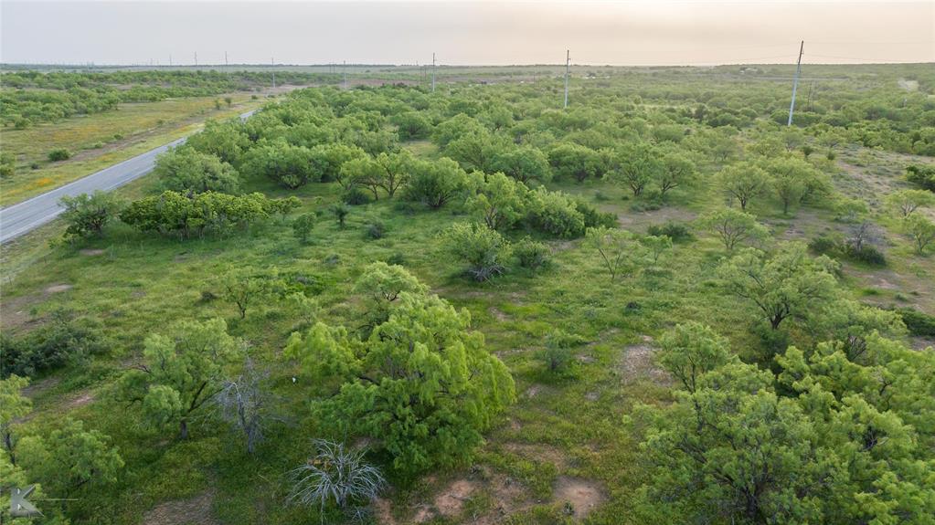 1117 Neas Road Abilene, TX 79601 - Photo 12 of 27 a view of a field of grass and trees