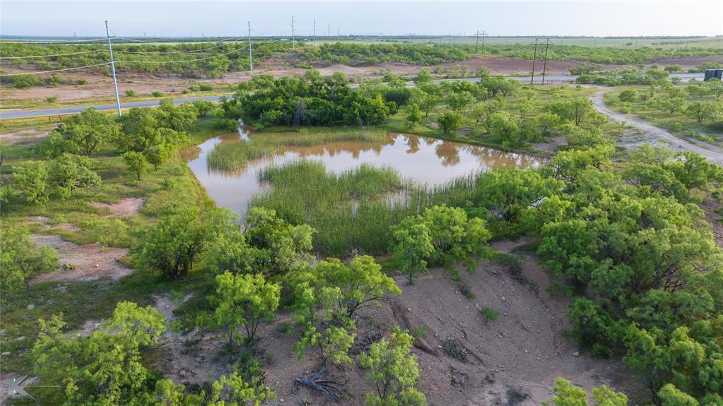 1117 Neas Road Abilene, TX 79601 - Photo 15 of 27 an aerial view of green landscape with trees houses and lake view