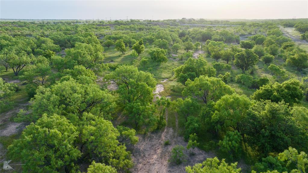 1117 Neas Road Abilene, TX 79601 - Photo 18 of 27 a view of a forest with a street