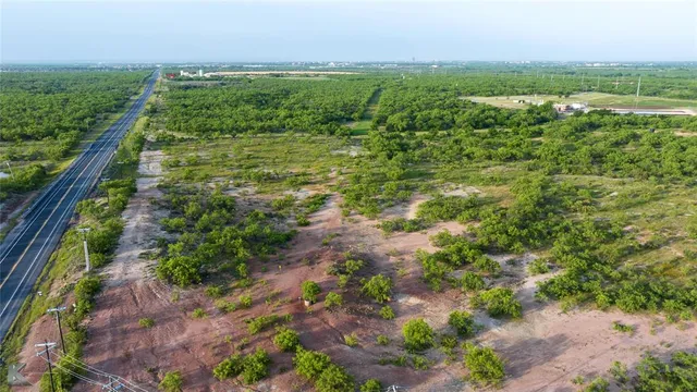 a view of a garden with a lake