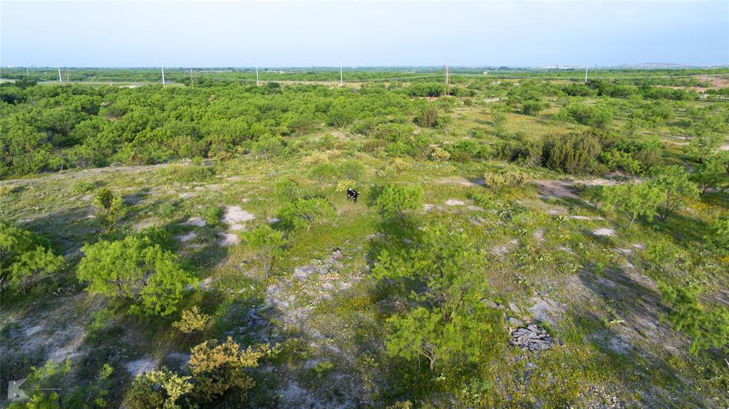 1117 Neas Road Abilene, TX 79601 - Photo 24 of 27 a view of a city