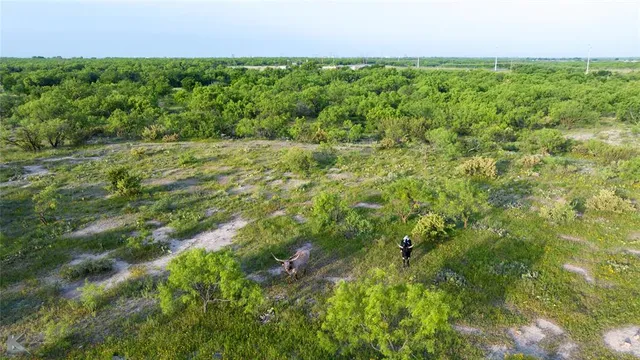 a view of a field of grass and trees