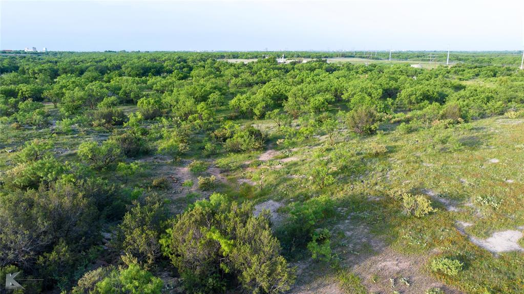 1117 Neas Road Abilene, TX 79601 - Photo 26 of 27 a view of a yard