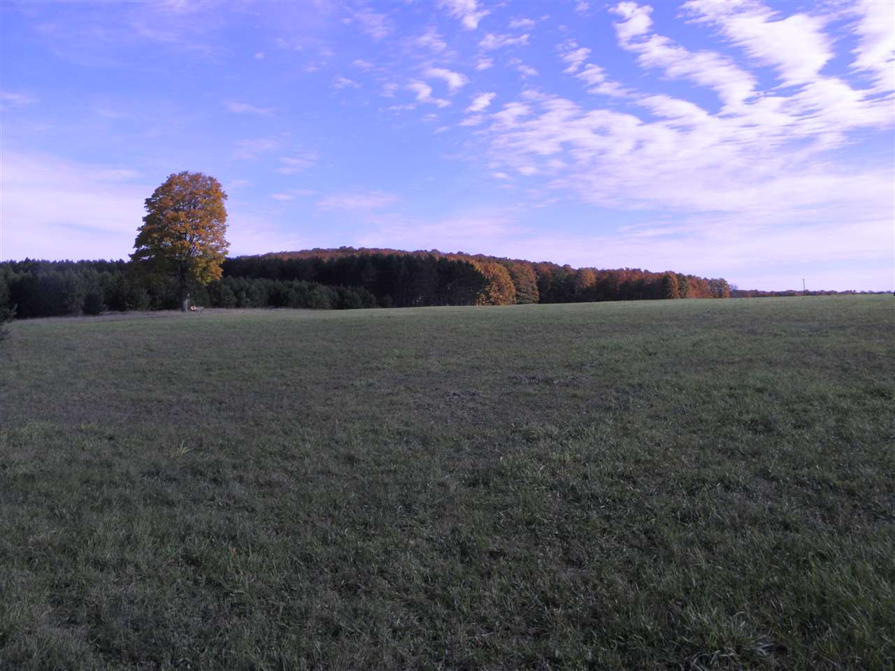 10932 Summit City Road Kingsley, MI 49649 - Photo 28 of 29 1824705-27.JPG