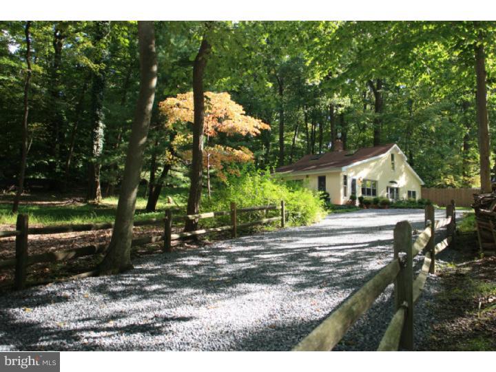 6852 Upper York Road New Hope, PA 18938 - Photo 2 of 17 Driveway