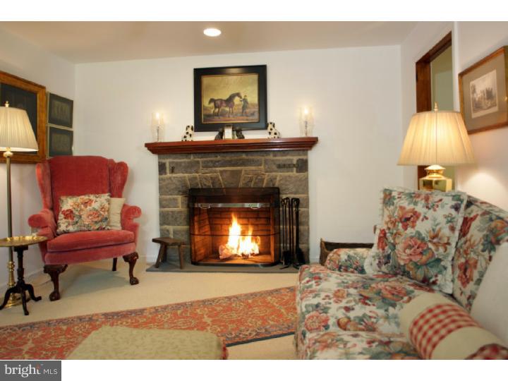 6852 Upper York Road New Hope, PA 18938 - Photo 14 of 17 Fireplace