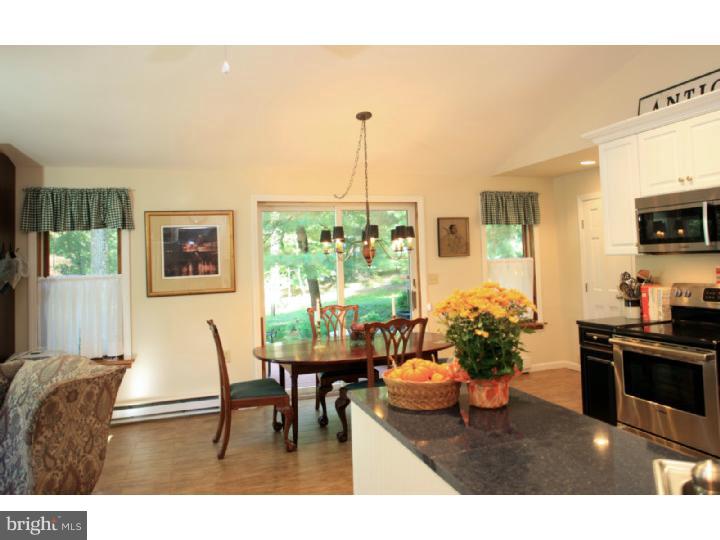 6852 Upper York Road New Hope, PA 18938 - Photo 9 of 17 Kitchen