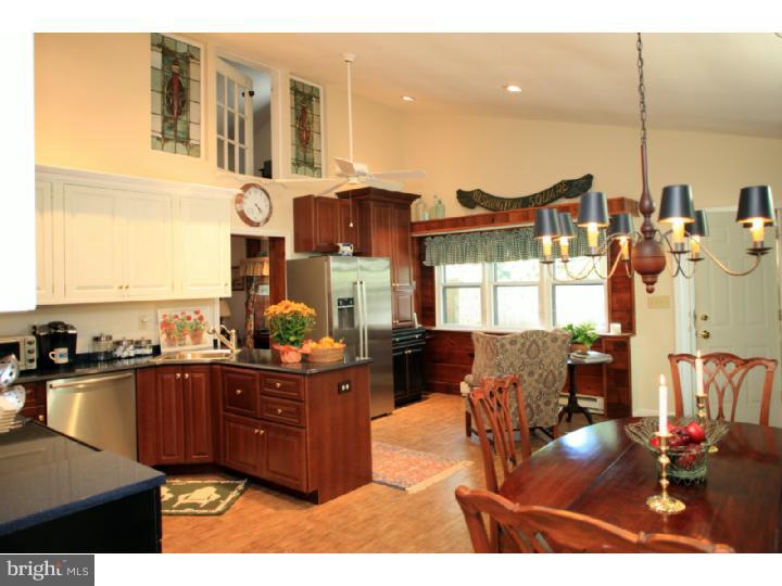 6852 Upper York Road New Hope, PA 18938 - Photo 10 of 17 Kitchen