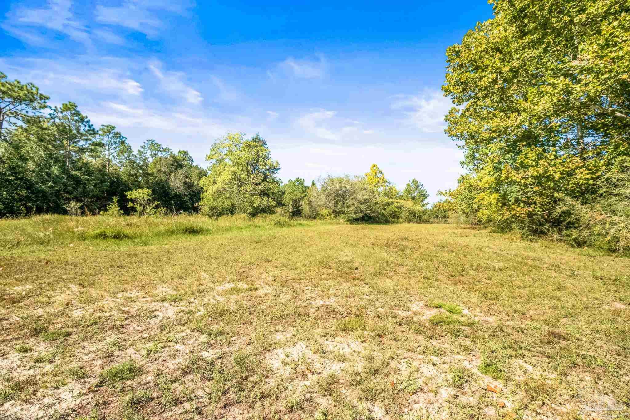 6985 Deception Road Milton, FL 32583 - Photo 40 of 56 Gallery Image 40