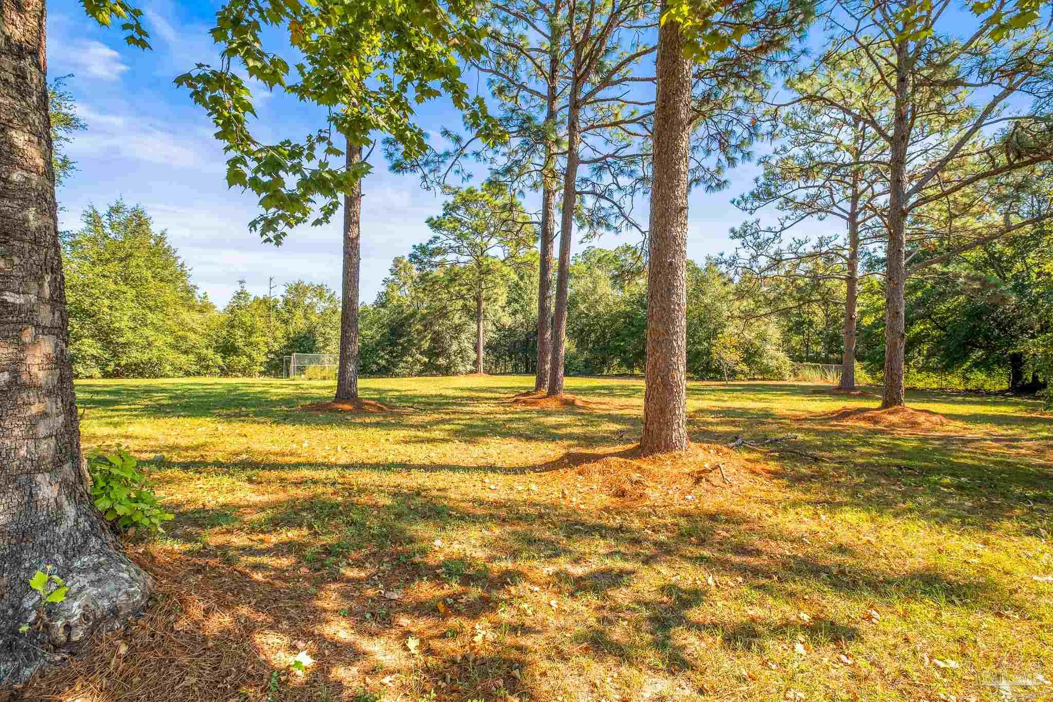 6985 Deception Road Milton, FL 32583 - Photo 51 of 56 Gallery Image 51