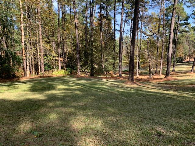 103 2nd Avenue Springfield, GA 31329 - Photo 22 of 30 IMG_6517