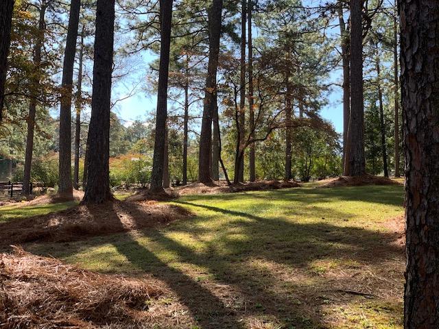 103 2nd Avenue Springfield, GA 31329 - Photo 27 of 30 IMG_6533