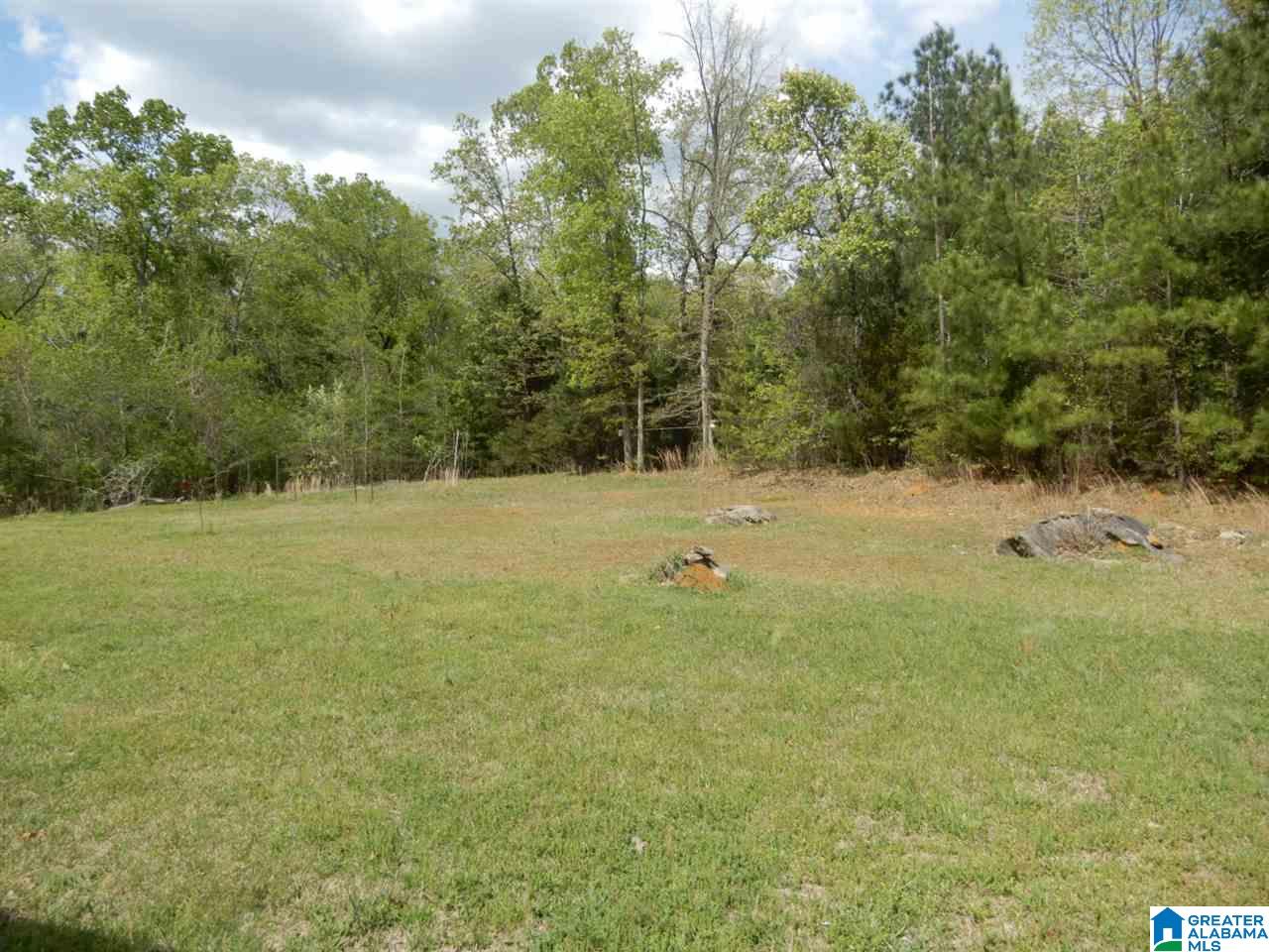 1453 Big Springs Road Woodstock, AL 35188 - Photo 16 of 17