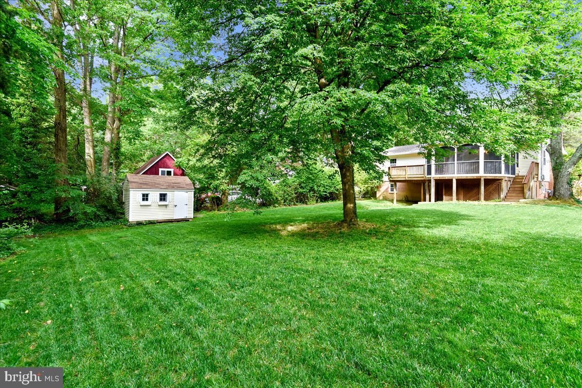 3623 Colony Road Fairfax, VA 22030 - Photo 6 of 50 Backyard w/Shed