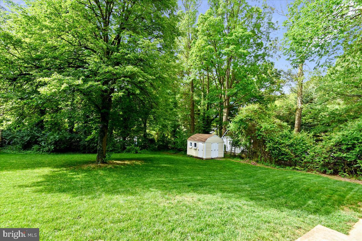 3623 Colony Road Fairfax, VA 22030 - Photo 7 of 50 Backyard w/Shed
