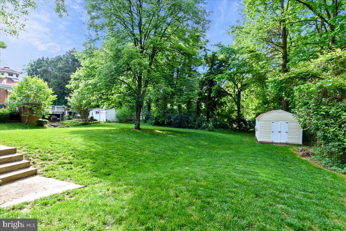3623 Colony Road Fairfax, VA 22030 - Photo 9 of 50 Backyard w/Shed