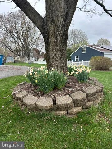 a view of a garden with a bench