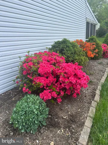 a view of a house with a yard and garden