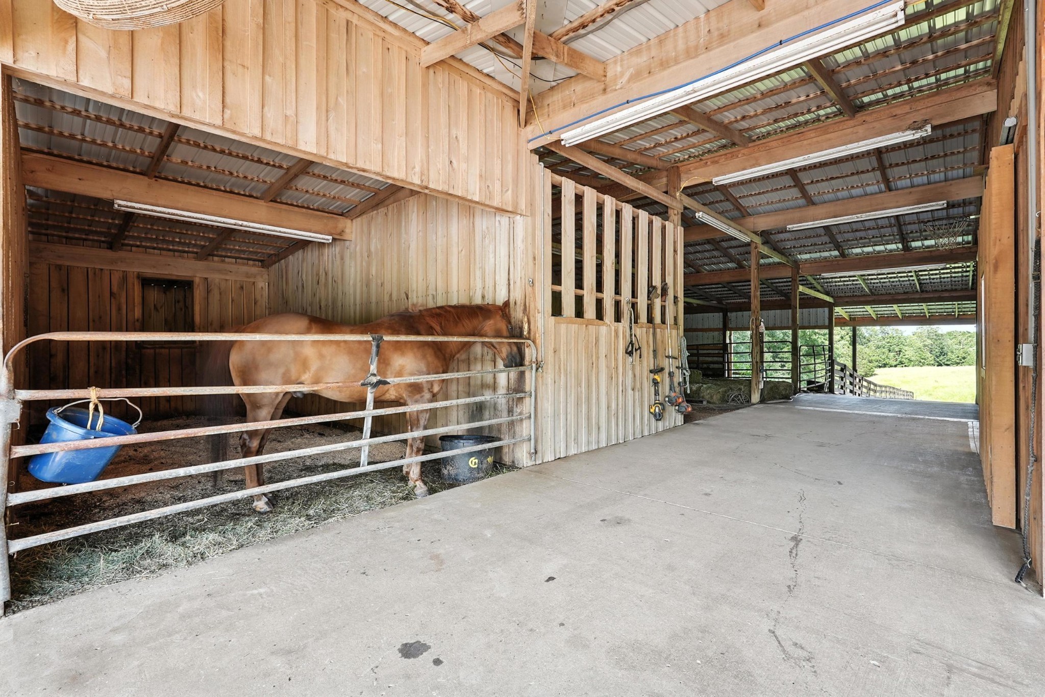 1880 Clydeton Road Waverly, TN 37185 - Photo 65 of 85 a view of an empty room with wooden walls