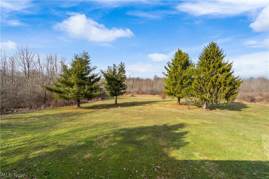 8095 Rodgers Road Lodi, OH 44254 - Photo 3 of 25 Gallery Image 3