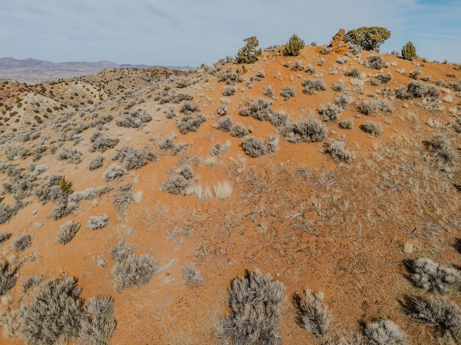Hamilton Creek Trail Elko, NV 89801 - Photo 19 of 39